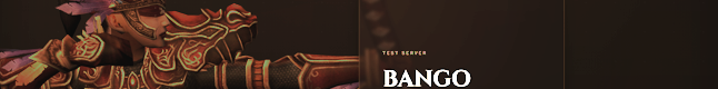 Bangokal 2009 banner