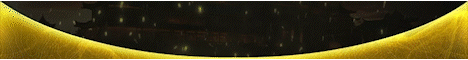 Silkroad History Cap 100 banner